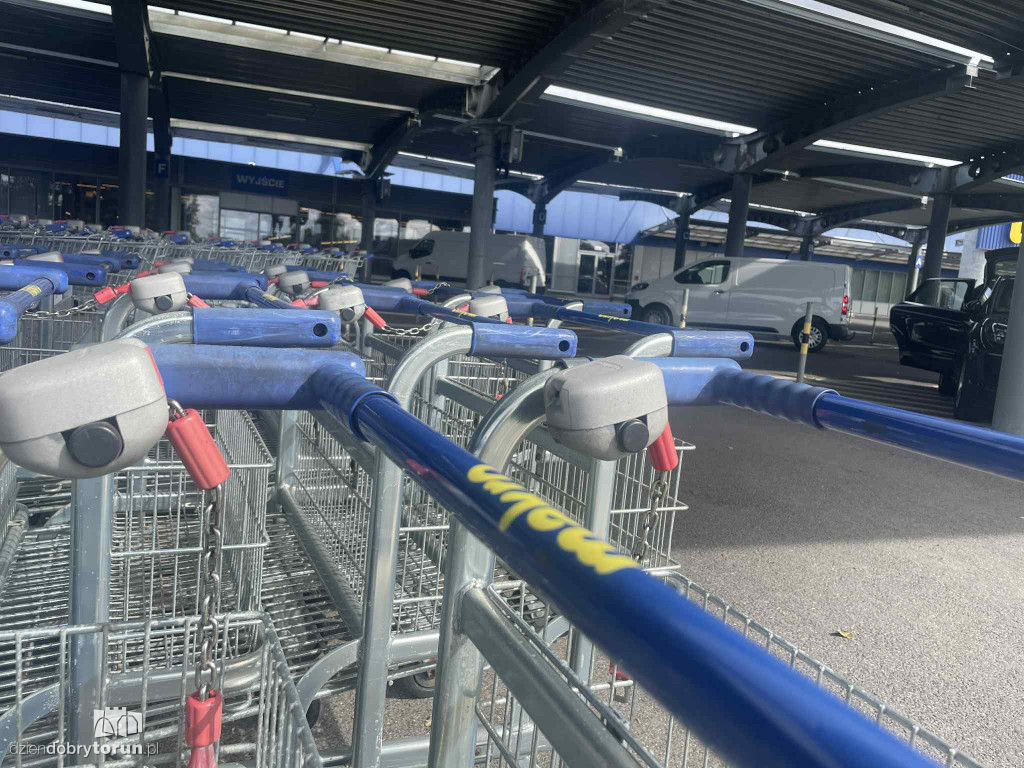 Makro w Toruniu
