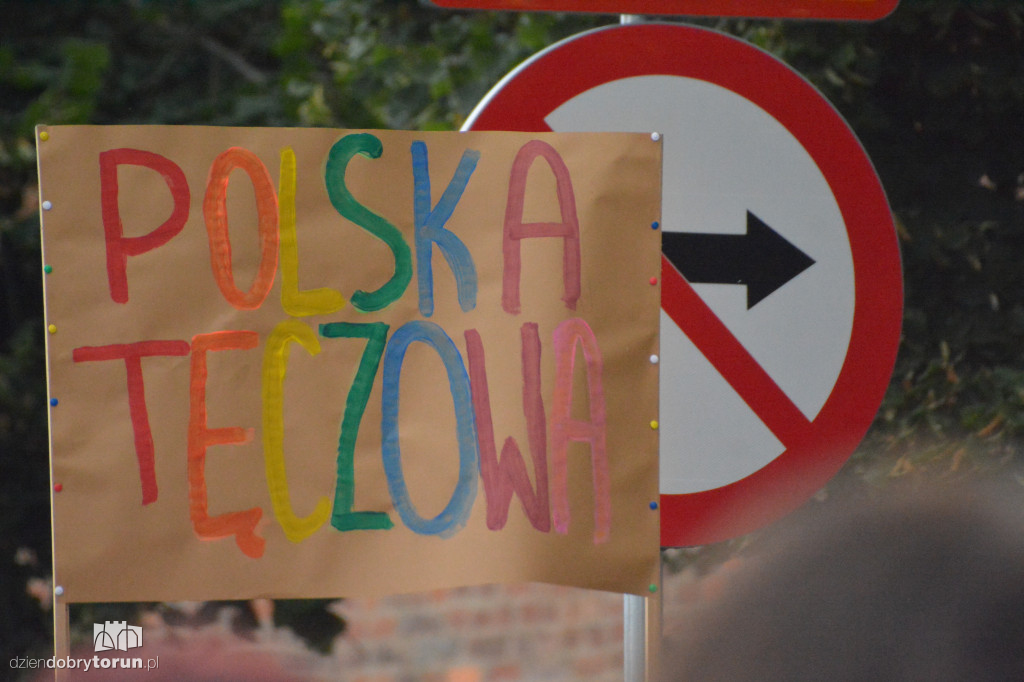 VI Toruński Marsz Równości