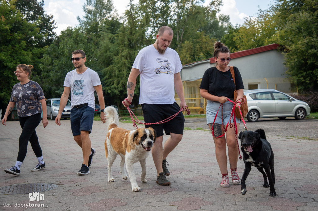 Wyprowadź psa ze schroniska