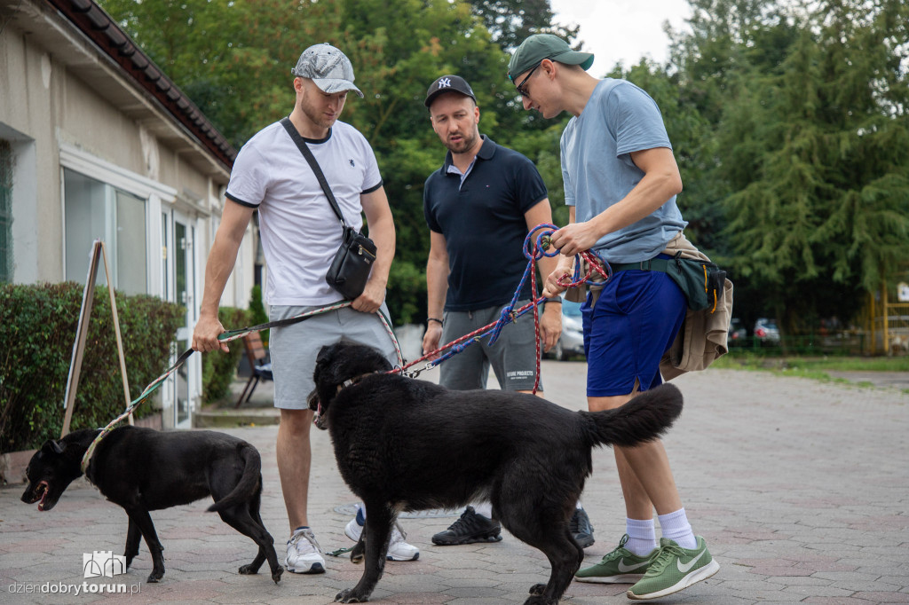 Wyprowadź psa ze schroniska
