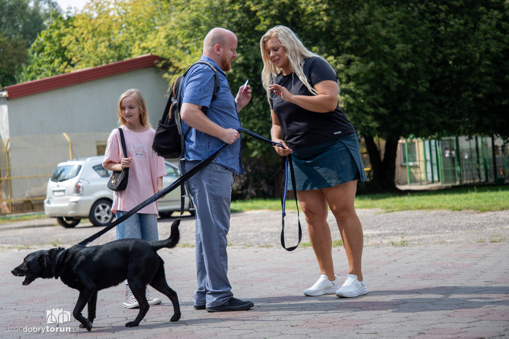 Wyprowadź psa ze schroniska