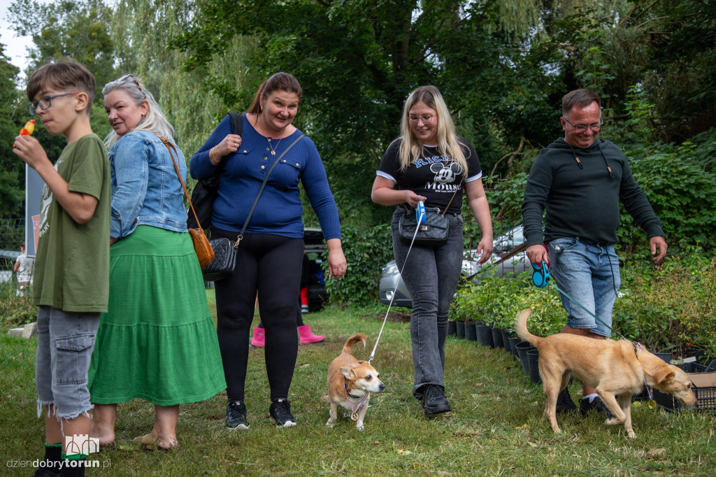 Piknik Przyjaciół Schroniska