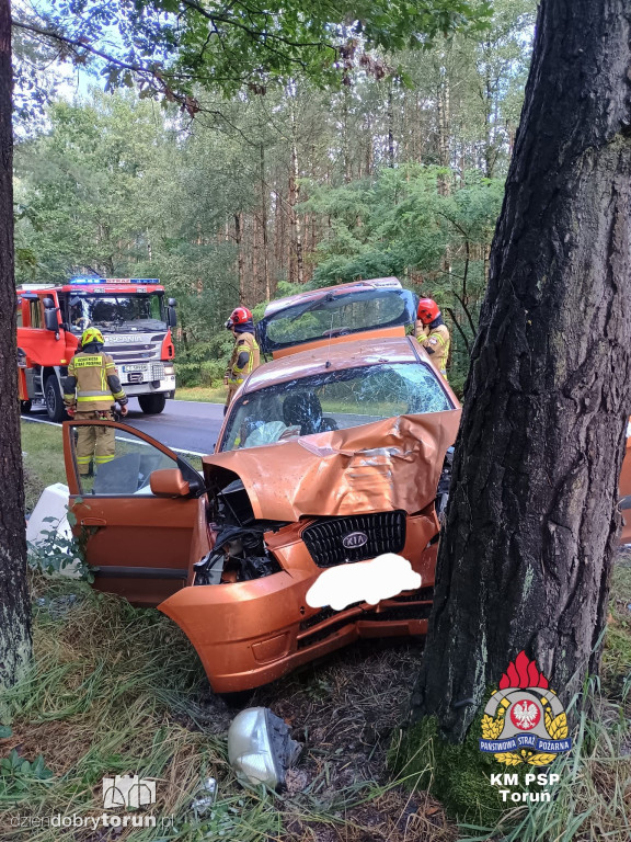 Kolizja pod Toruniem. Jedna osoba w szpitalu