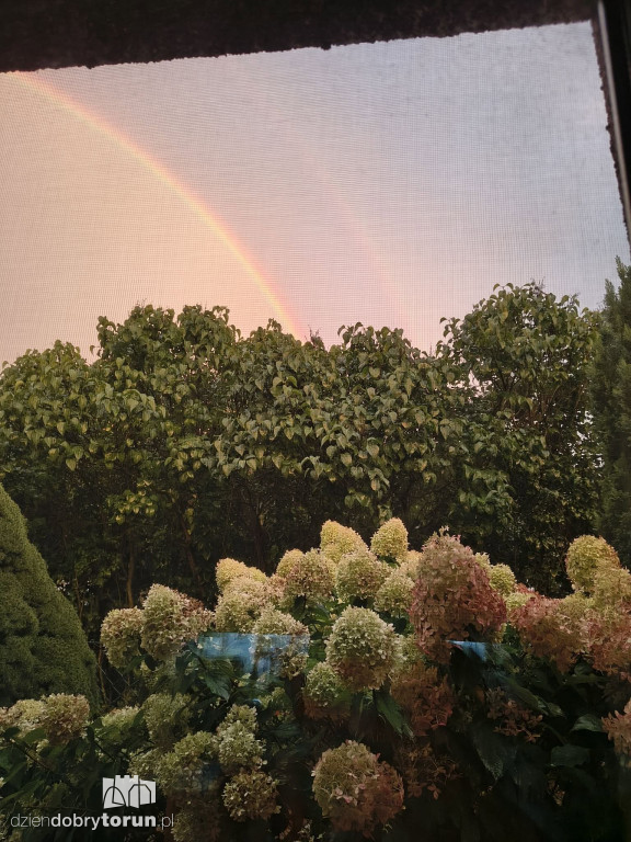 Tęcza w obiektywie Czytelników DD Toruń