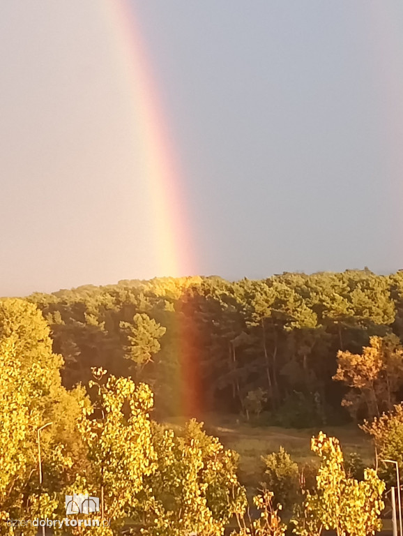 Tęcza w obiektywie Czytelników DD Toruń