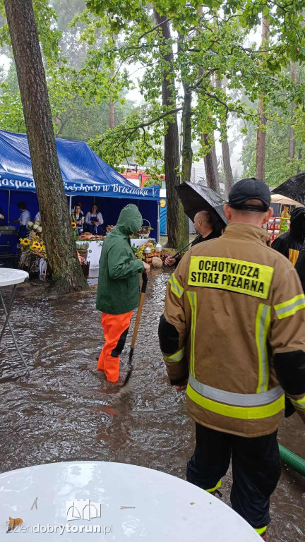 Strażacy interweniowali na Dożynkach