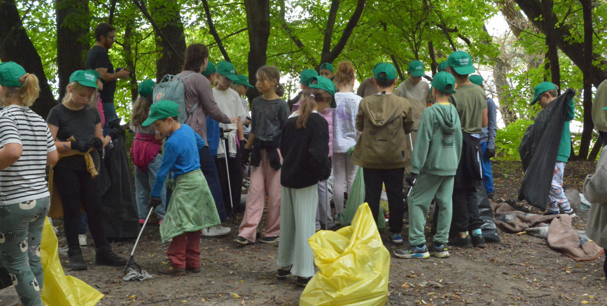 Sprzątanie Martówki