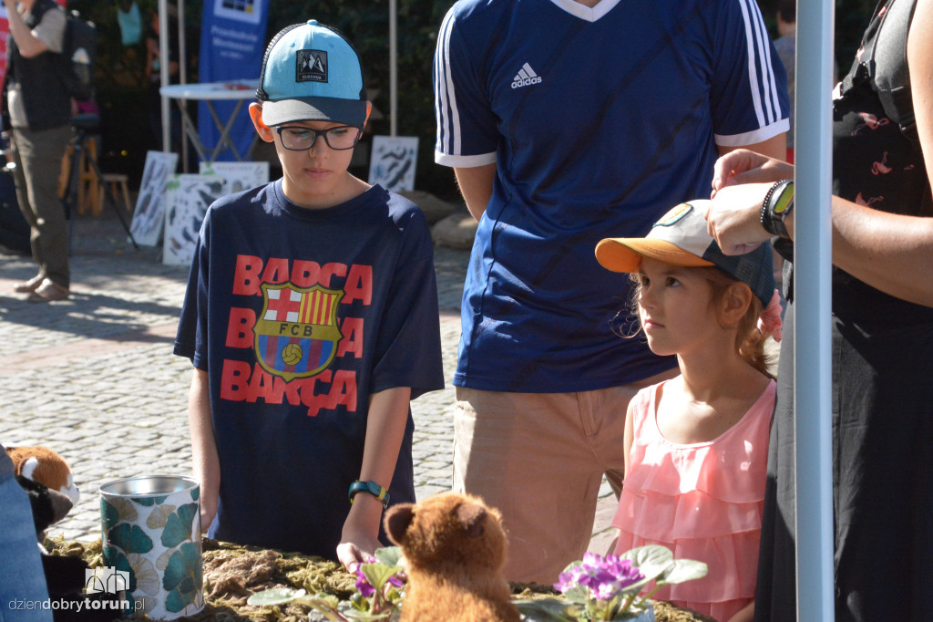 Eko Piknik na Rynku Staromiejskim