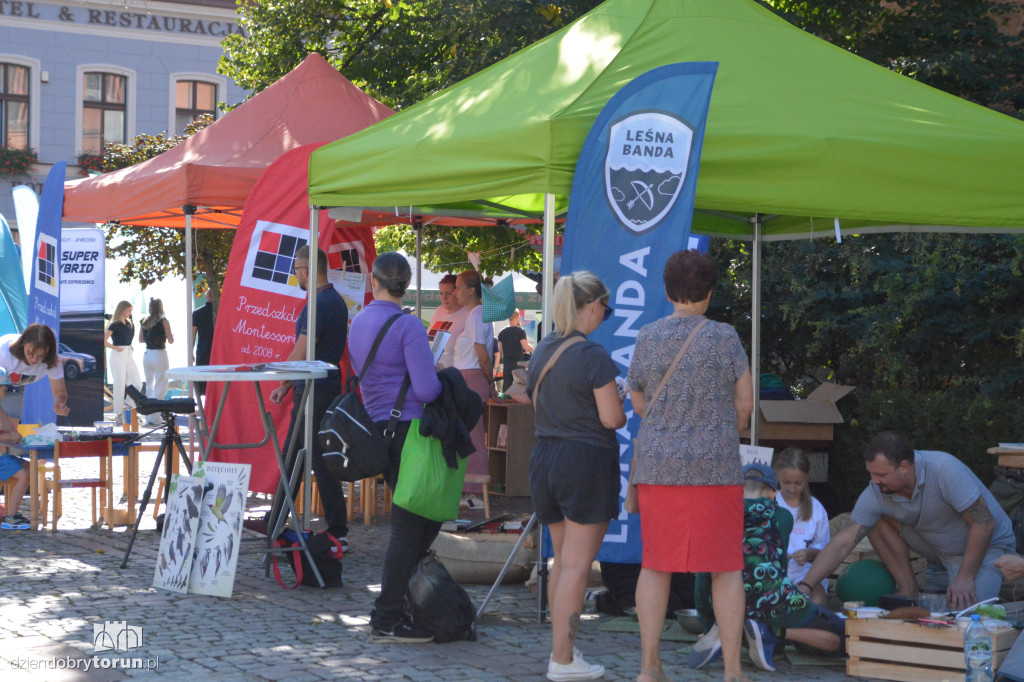 Eko Piknik na Rynku Staromiejskim