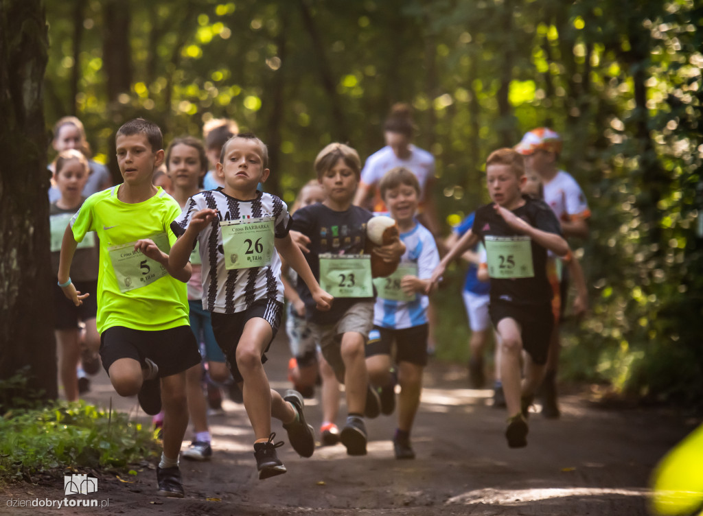 Cross Barbarka