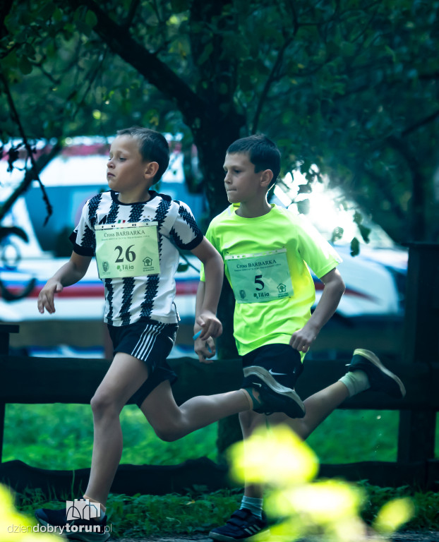 Cross Barbarka