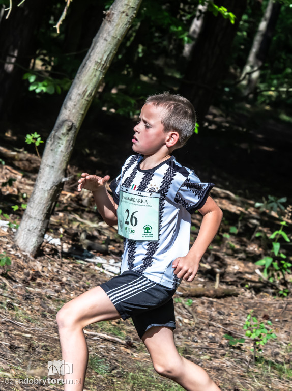 Cross Barbarka