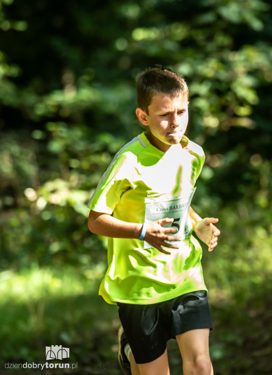 Cross Barbarka