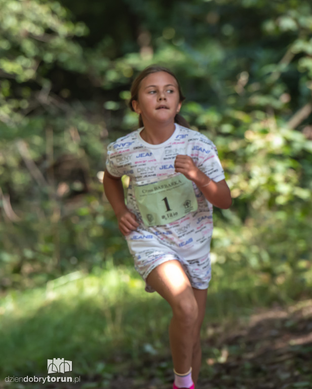 Cross Barbarka