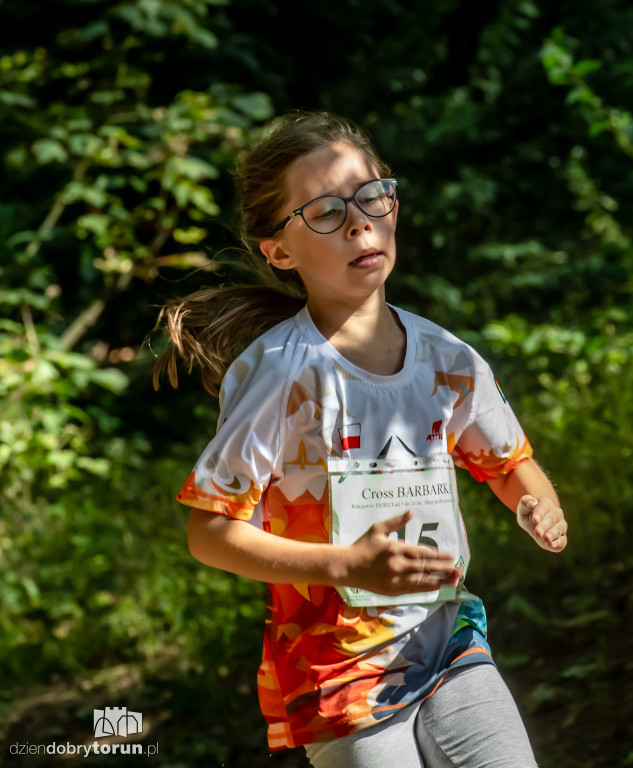 Cross Barbarka