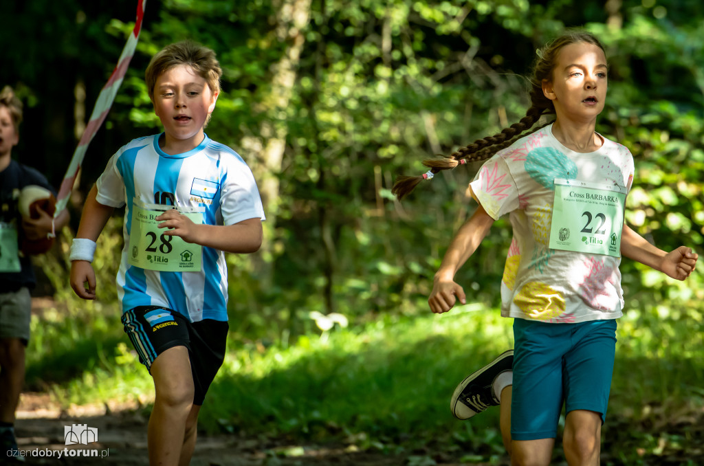 Cross Barbarka