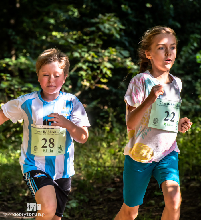 Cross Barbarka