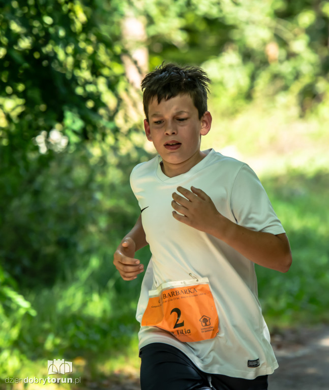 Cross Barbarka