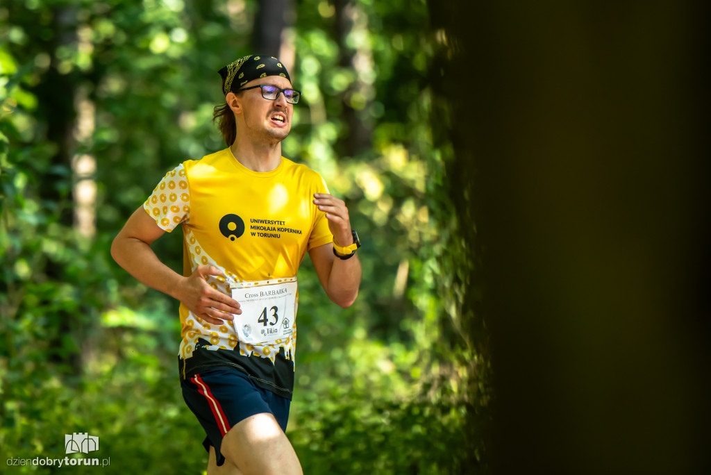 Cross Barbarka