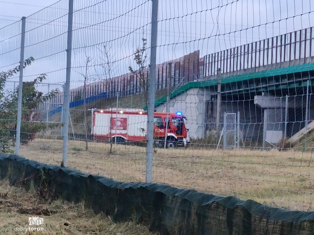 Śmiertelny wypadek na torach