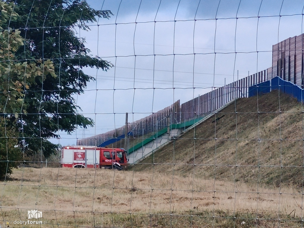 Śmiertelny wypadek na torach