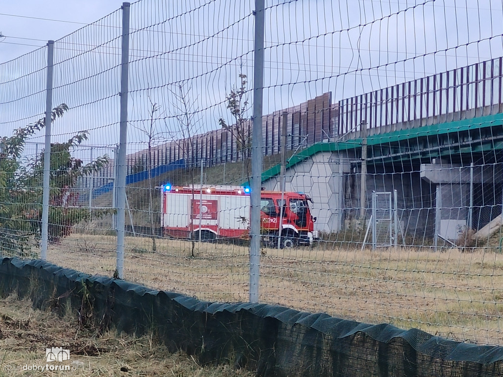 Śmiertelny wypadek na torach