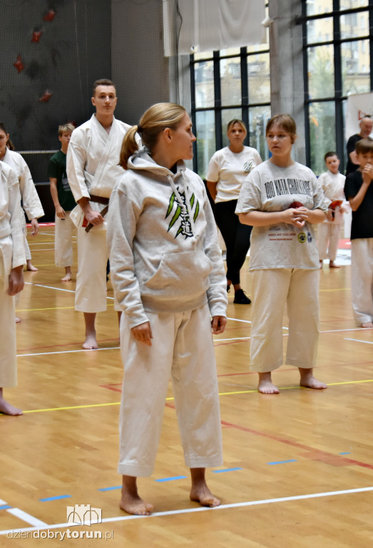 100 Kata Challenge