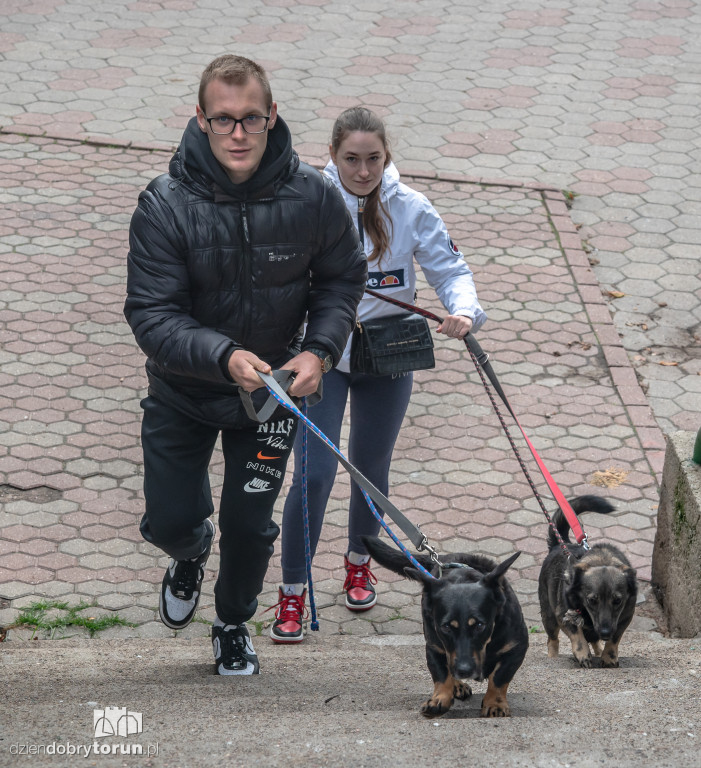 Październikowa akcja wyprowadź psa
