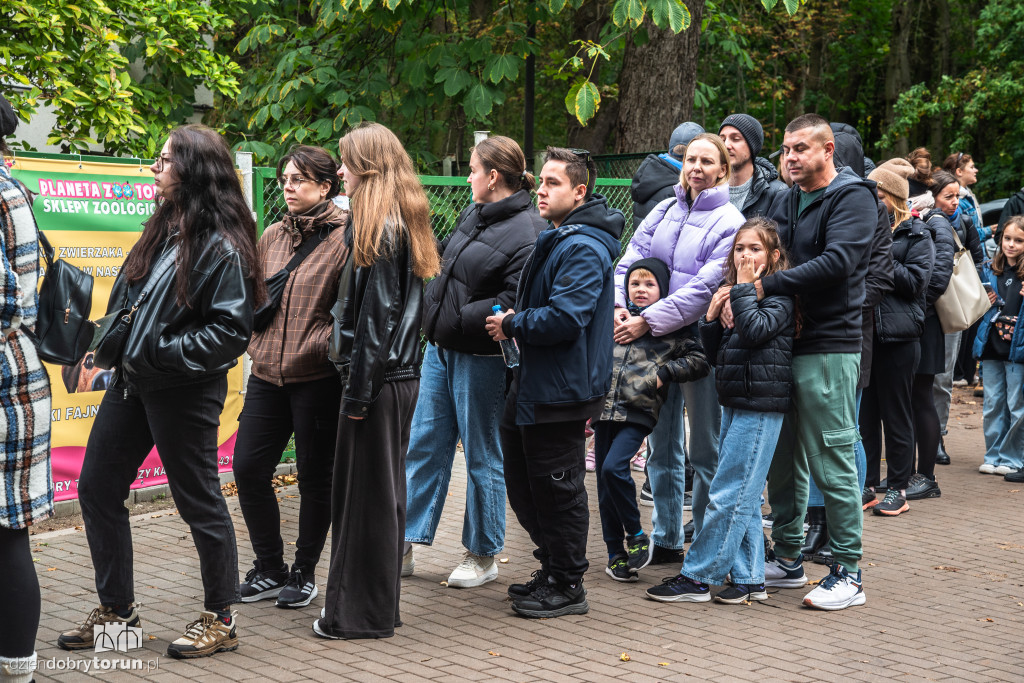 Październikowa akcja wyprowadź psa