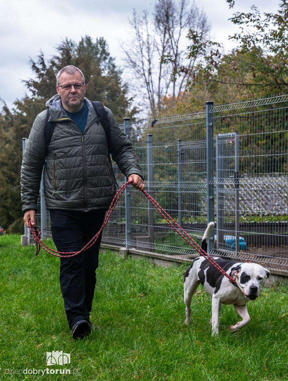 Październikowa akcja wyprowadź psa