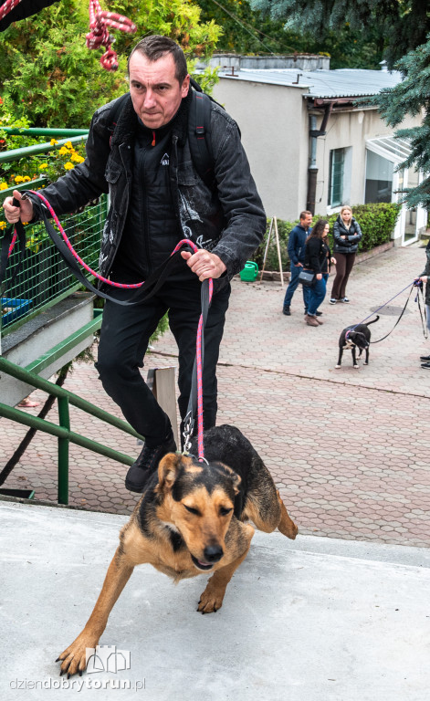 Październikowa akcja wyprowadź psa
