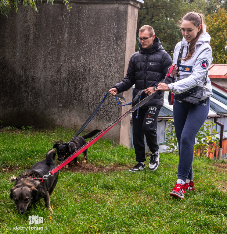 Październikowa akcja wyprowadź psa