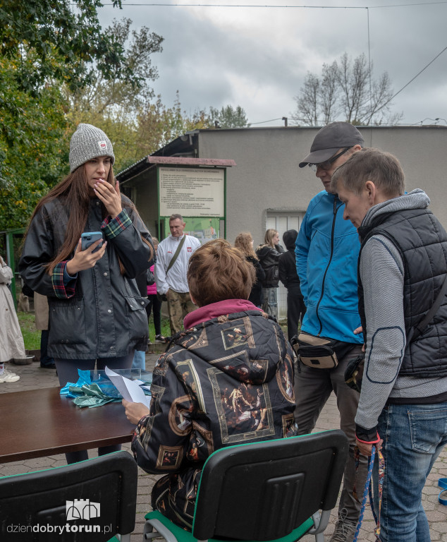 Październikowa akcja wyprowadź psa