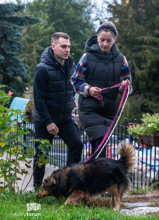 Październikowa akcja wyprowadź psa