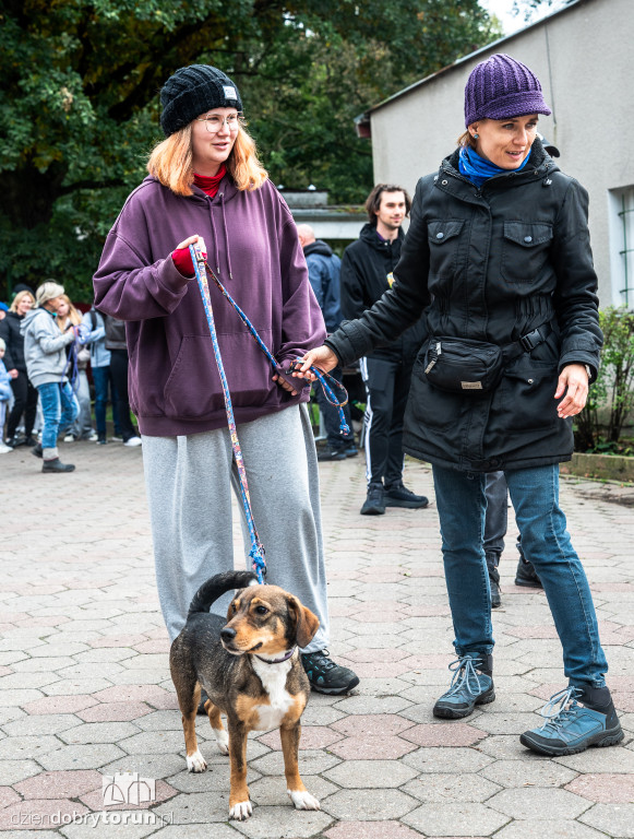 Październikowa akcja wyprowadź psa
