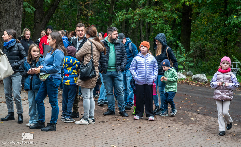 Październikowa akcja wyprowadź psa