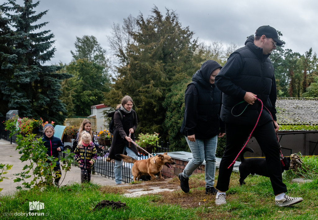 Październikowa akcja wyprowadź psa