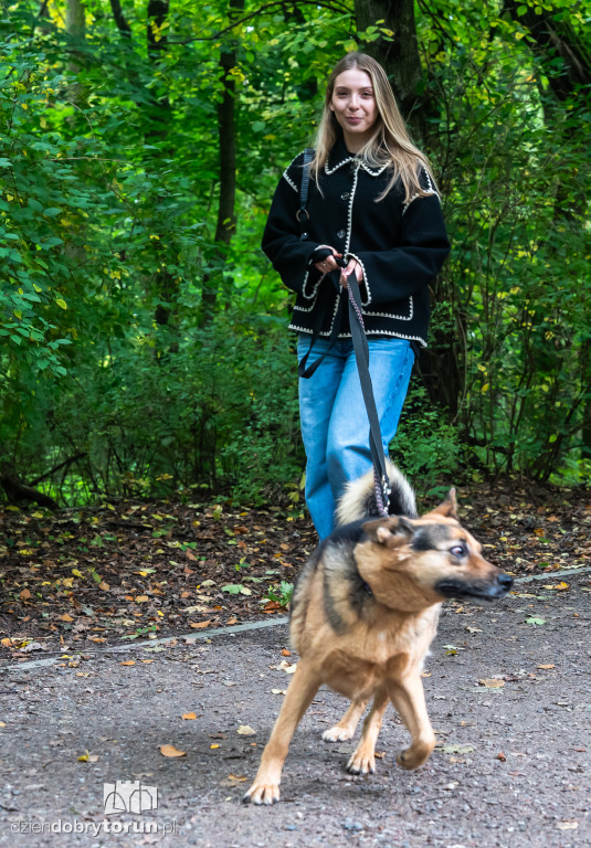 Październikowa akcja wyprowadź psa