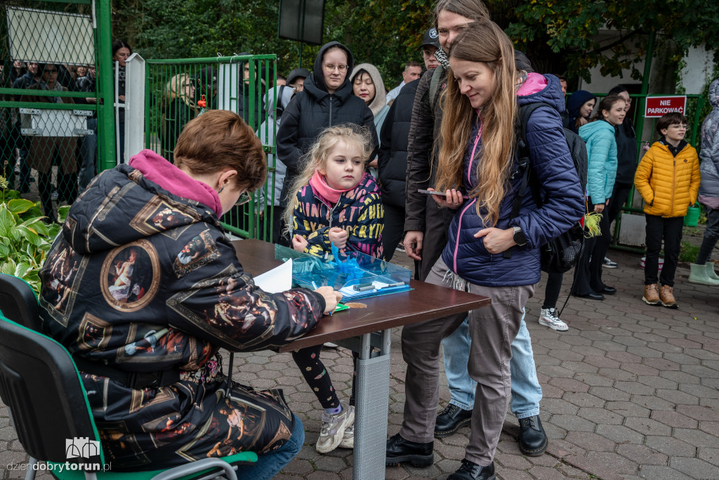 Październikowa akcja wyprowadź psa