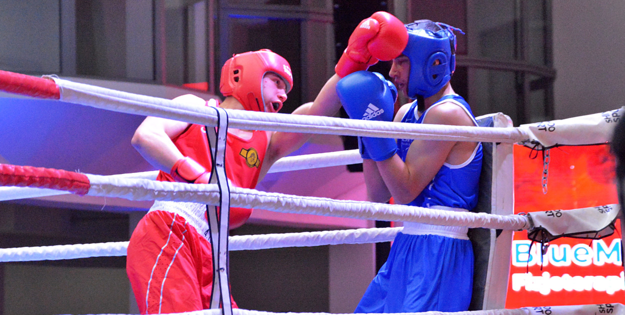 XXIX MTB Copernicus Boxing Cup im. Z. Krygiera