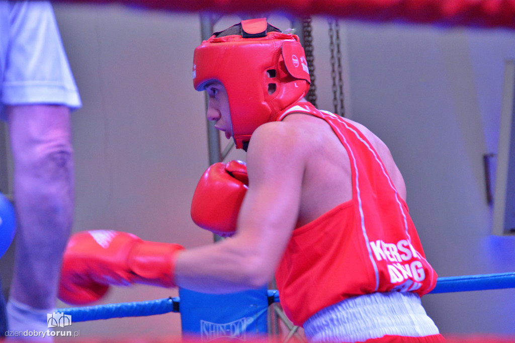 XXIX MTB Copernicus Boxing Cup im. Z. Krygiera