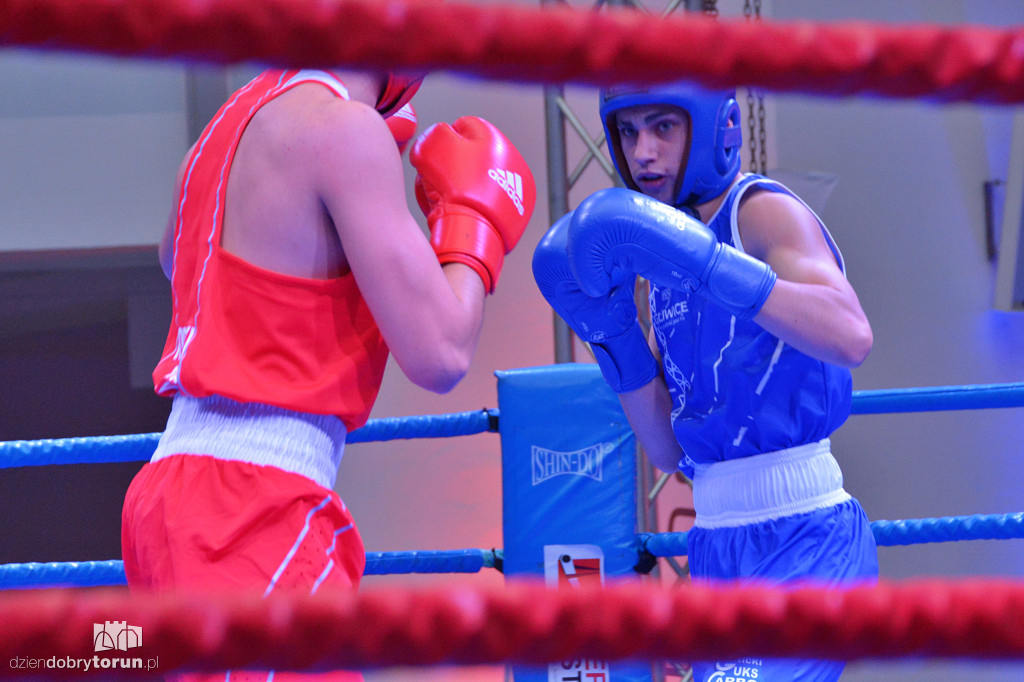 XXIX MTB Copernicus Boxing Cup im. Z. Krygiera