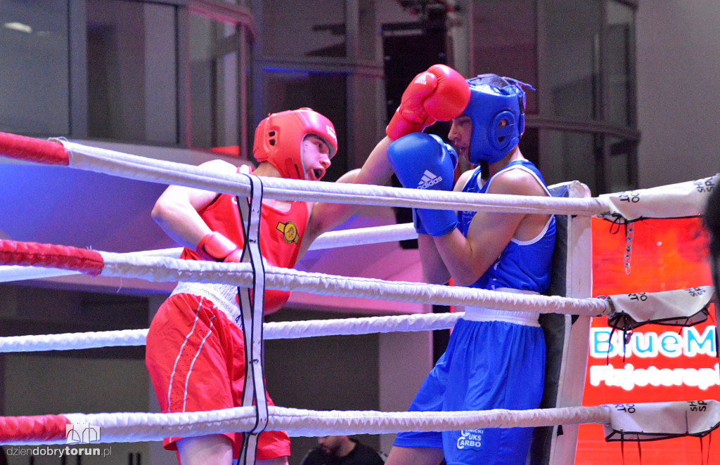 XXIX MTB Copernicus Boxing Cup im. Z. Krygiera