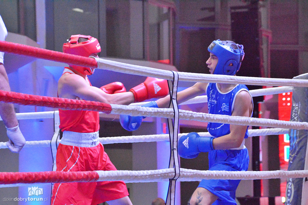 XXIX MTB Copernicus Boxing Cup im. Z. Krygiera