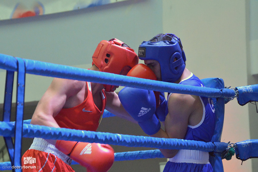 XXIX MTB Copernicus Boxing Cup im. Z. Krygiera