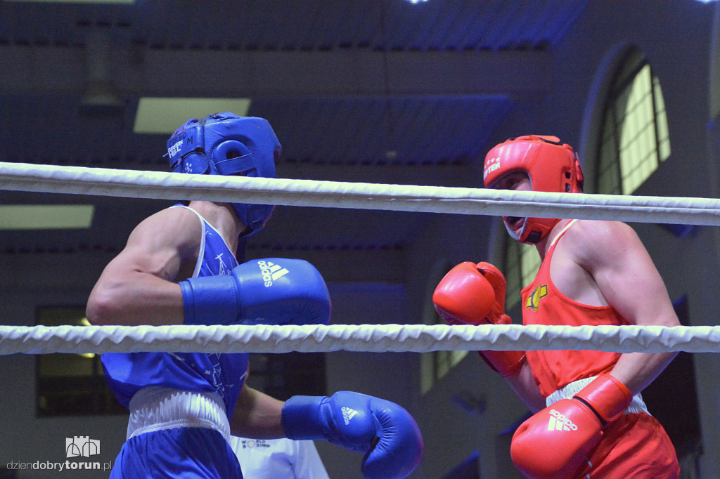 XXIX MTB Copernicus Boxing Cup im. Z. Krygiera