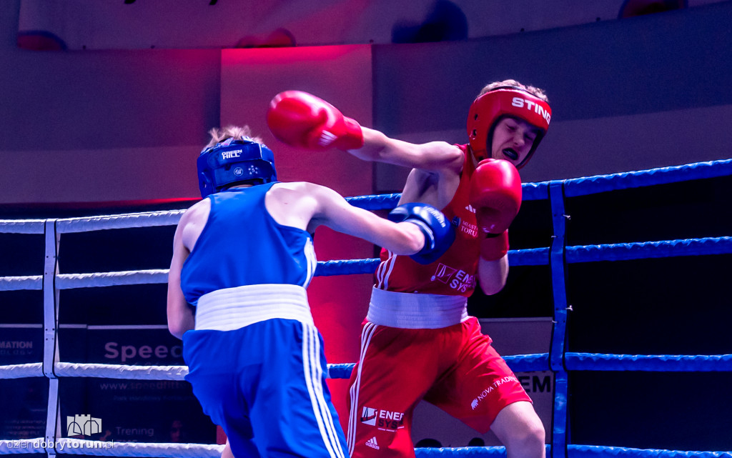 Walki wieczoru na XXIX MTB Copernicus Boxing Cup