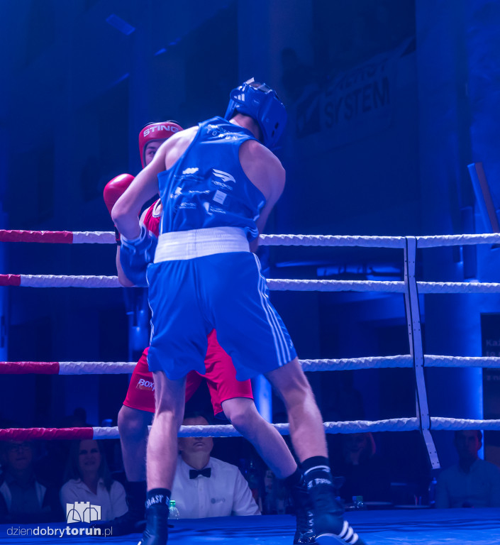 Walki wieczoru na XXIX MTB Copernicus Boxing Cup