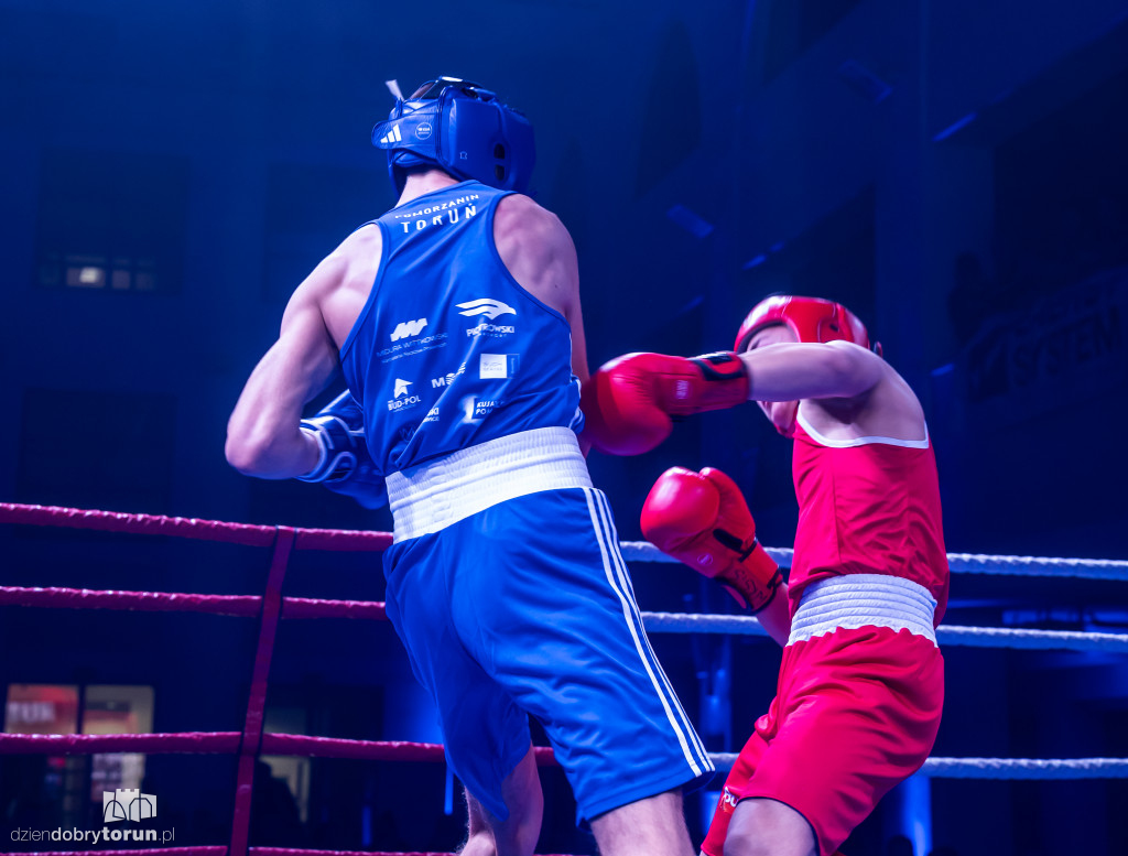 Walki wieczoru na XXIX MTB Copernicus Boxing Cup