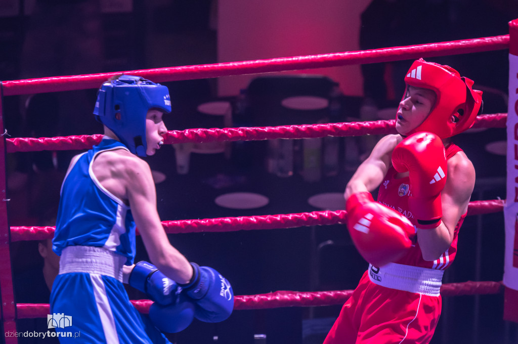 Walki wieczoru na XXIX MTB Copernicus Boxing Cup